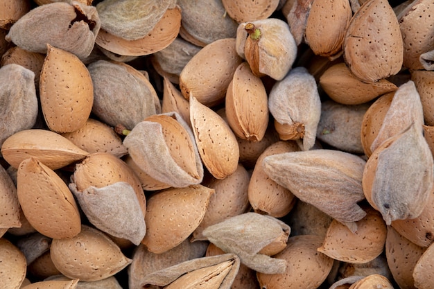 Almendras recién cortadas