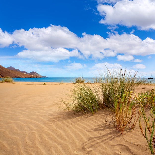 Foto almería playa genoveses playa cabo de gata