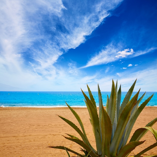 Foto almería playa de mojácar mar mediterráneo españa