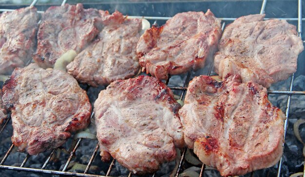 Almuerzo a la parrilla al aire libre Proceso de cocción de alimentos carnosos en el fuego Grillado de filetes en el fuego Proceso