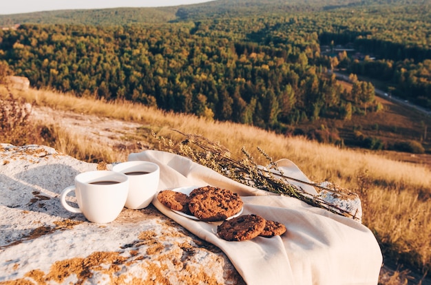 Almuerzo de picnic al aire libre con tazas de café y galletas caseras.