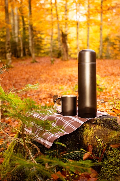 Almuerzo turístico al fondo del maravilloso bosque de otoño.