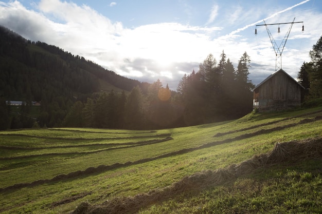 Almwiesen bei Sonnenuntergang