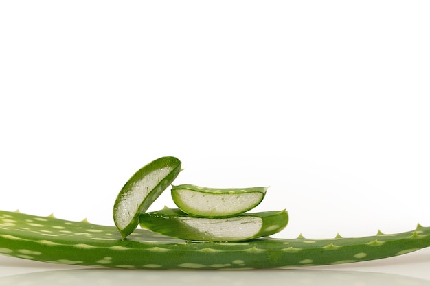 Aloe Blumenblätter auf weißem Hintergrund Closeup medizinische Blume