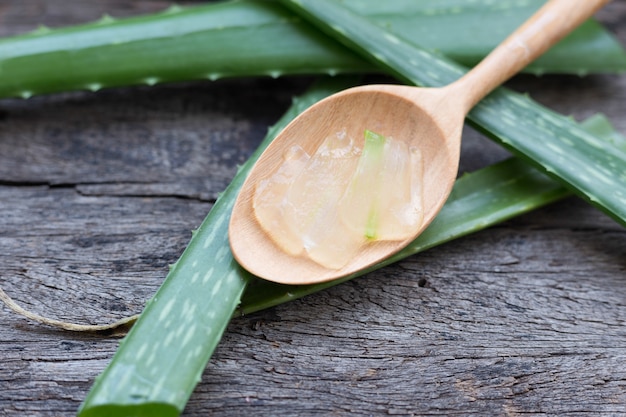 Aloe-Kräuter haben viele Vorteile