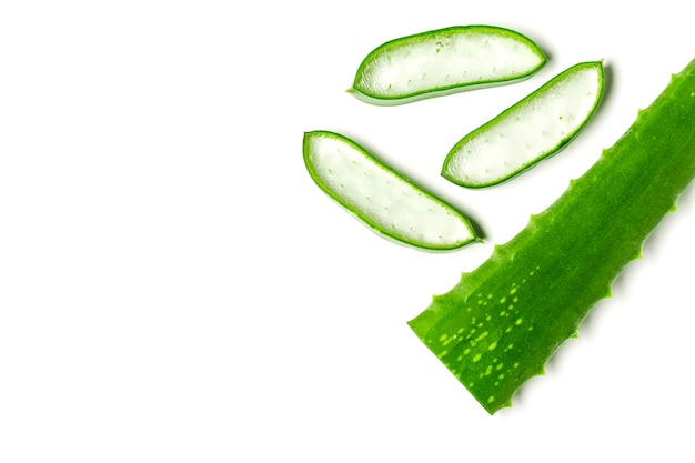 Aloe Vera ätherisches Öl isoliert auf einem weißen Raum. Frische Aloe Vera Blätter.