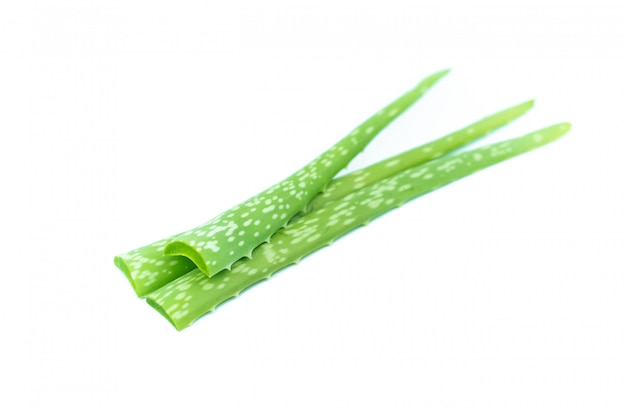 Aloe vera aislado en blanco