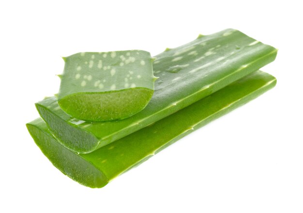 Aloe Vera auf einem weißen Hintergrund