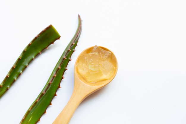 Aloe Vera auf weiß