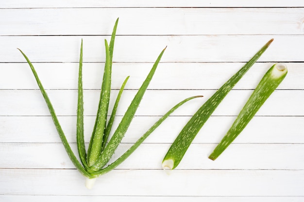 Aloe Vera auf weißem hölzernem Schreibtisch mit Kopienraum, Draufsicht.