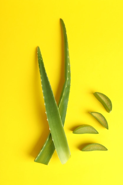 Aloe Vera Blätter und Scheiben auf gelbem Hintergrund