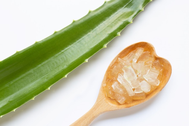 Aloe vera en blanco