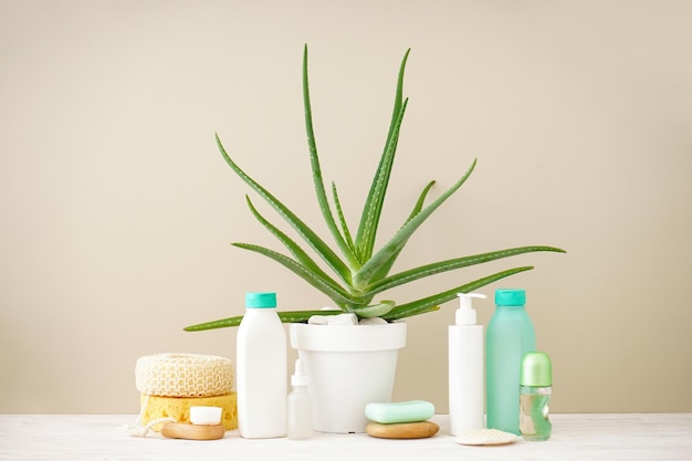 Aloe vera y composición de productos de belleza y cuidado corporal sobre fondo beige