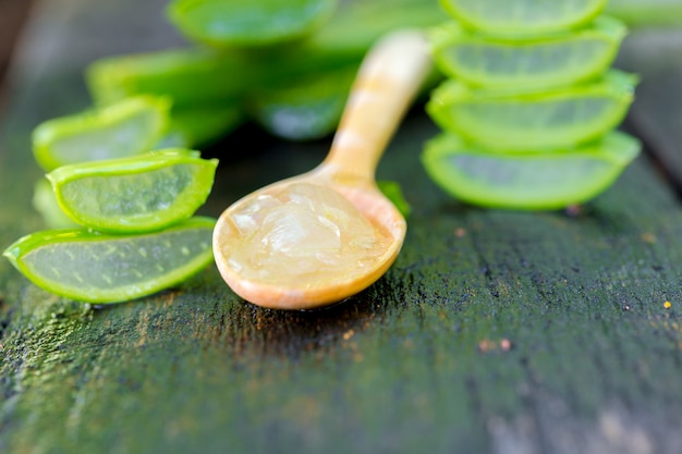 Aloe vera en cuchara de madera en mesa de madera Hay muchas hierbas útiles.