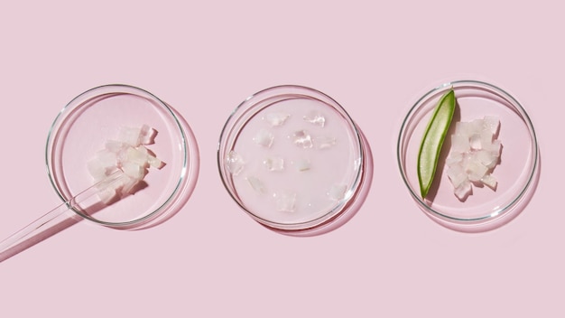 aloe vera e ingredientes cosméticos, placas de petri de aloe, investigación cosmética, aloe en rodajas, jugo de aloe