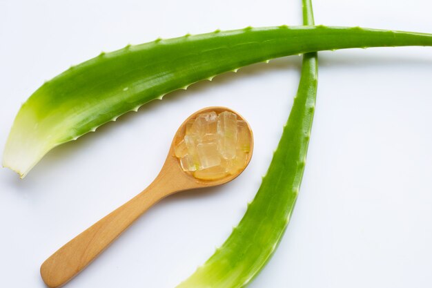 Aloe vera é uma popular planta medicinal para a saúde e beleza, fundo branco.