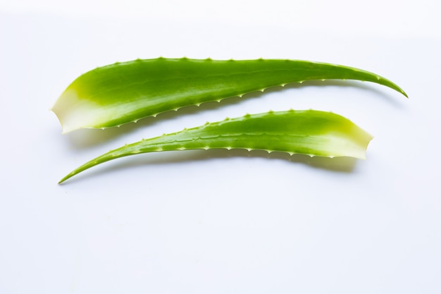 Aloe vera em branco