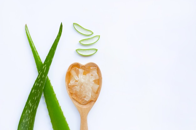 El aloe vera es una planta medicinal popular para la salud y la belleza, sobre fondo blanco.