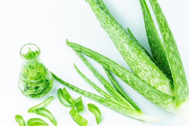 Aloe vera y extracto de botellas sobre fondo blanco.