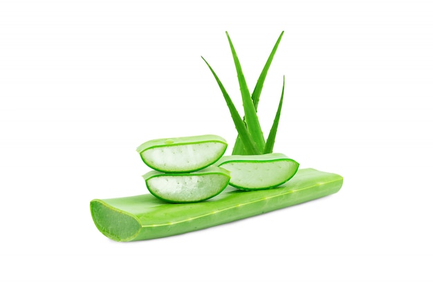 Aloe vera fresco aislado .una medicina herbal muy útil para el cuidado de la piel y el cuidado del cabello.