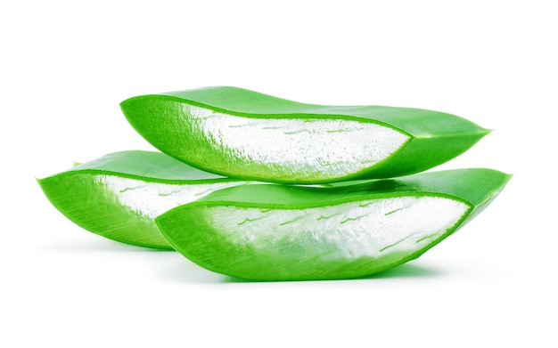 Aloe Vera frisches Blatt isoliert