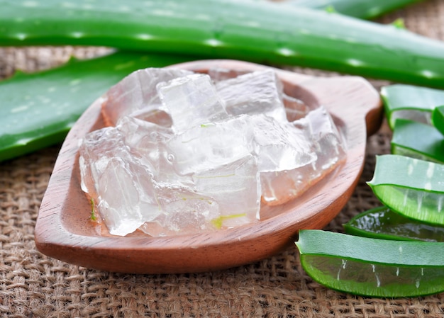 Aloe vera gel e aloe vera.