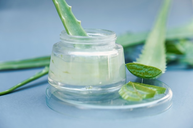 Aloe Vera Gel und Aloe Vera Star Cactus Slide auf grauem Hintergrund isoliert.