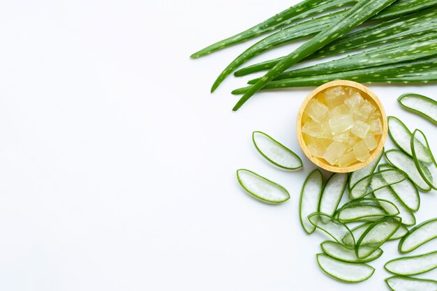 Aloe Vera ist eine beliebte Heilpflanze für Gesundheit und Schönheit, weißer Hintergrund.