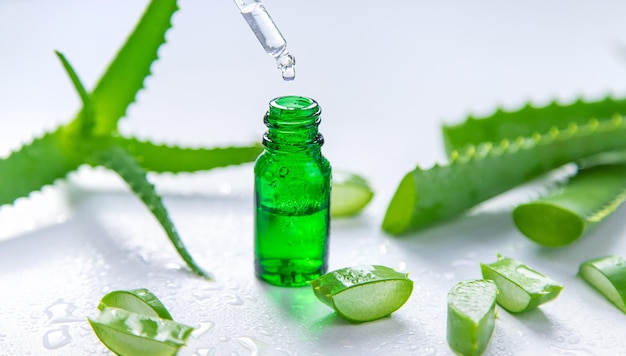 Aloe Vera Kosmetik und Medizin Selektiver Fokus