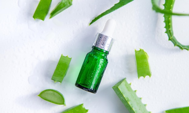 Aloe Vera Kosmetik und Medizin Selektiver Fokus