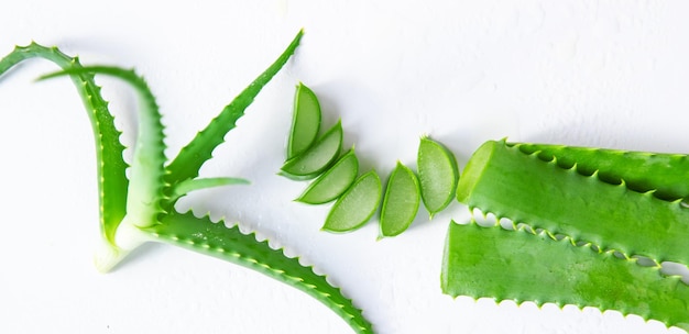 Aloe Vera Kosmetik und Medizin Selektiver Fokus