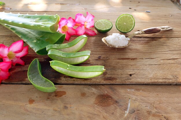 Aloe Vera mit Kalk und Salz auf Holz