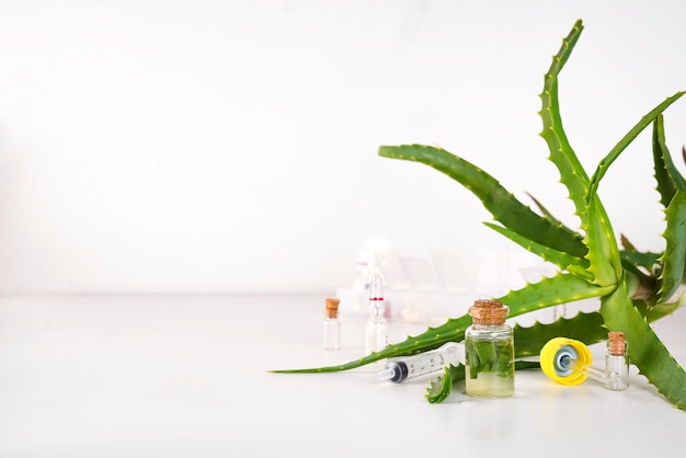 Aloe vera, óleo, em, garrafa vidro, com, cortado, de, aloe vera, gel