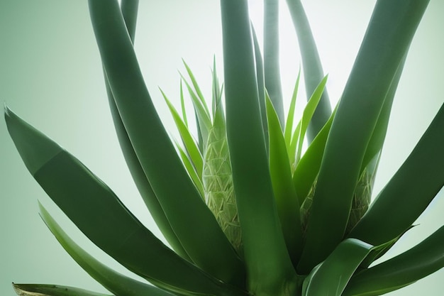 aloe vera planta fundo generativo ai