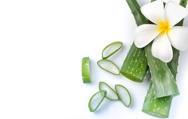 Aloe Vera en rodajas aislado