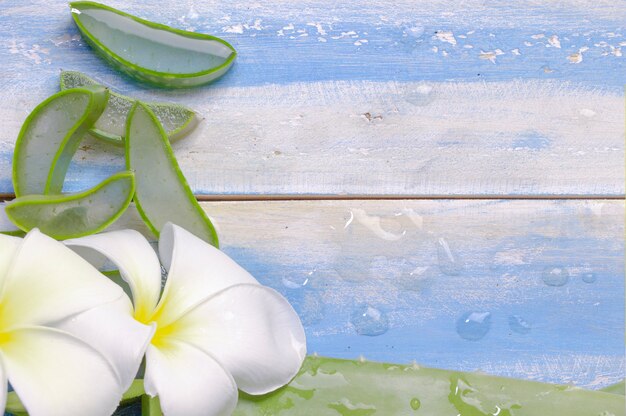 Aloe Vera Scheibe und Plumeria auf blauem Hintergrund