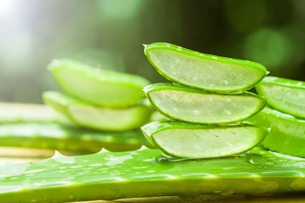 Aloe Vera Scheibe