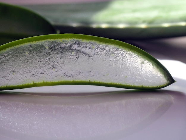 Aloe Vera Scheibe