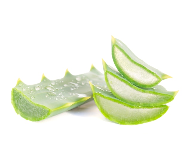 Aloe Vera Scheiben isoliert