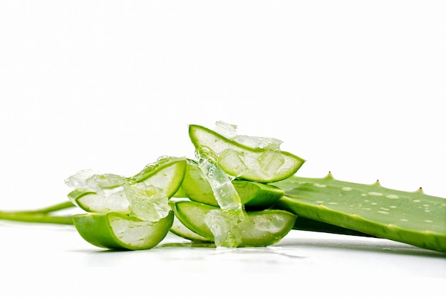 Aloe Vera schneidet frisches Blatt auf weißem Hintergrund nützliche Kräutermedizin für Hautpflege und Haarpflege