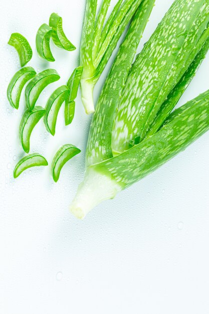 aloe vera sobre un fondo blanco hojas verdes de aloe vera con gota de agua y vista superior de corte