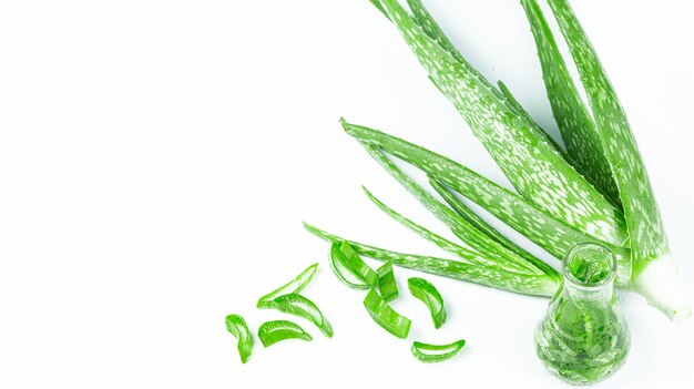 aloe vera sobre un fondo blanco hojas verdes de aloe vera con gota de agua y vista superior de corte