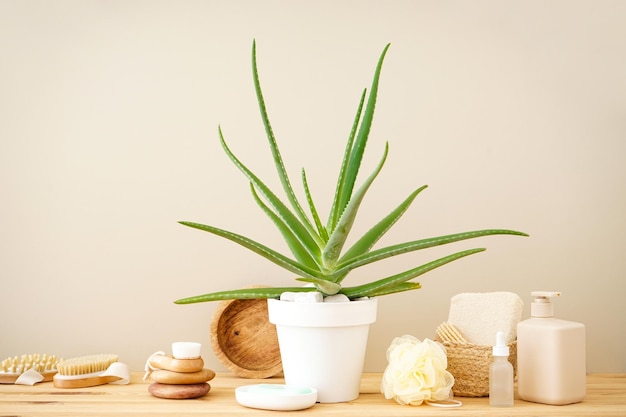 Aloe Vera und Zusammensetzung von Körperpflege- und Schönheitsprodukten auf einem Holztisch