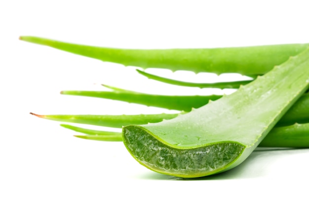 El aloe vera se usa en la medicina tradicional como un tratamiento para la piel.