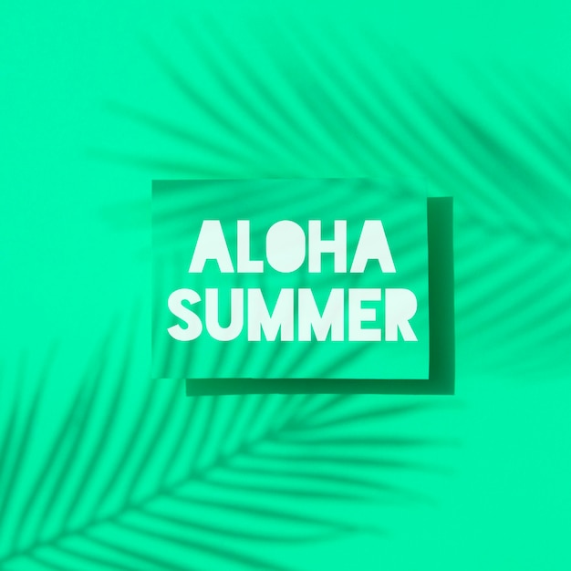 Foto aloha verão rótulo de sombra de folha de palmeira tropical fundo exótico de verão