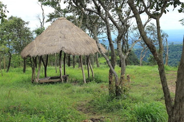 Alojamento de grama na montanha