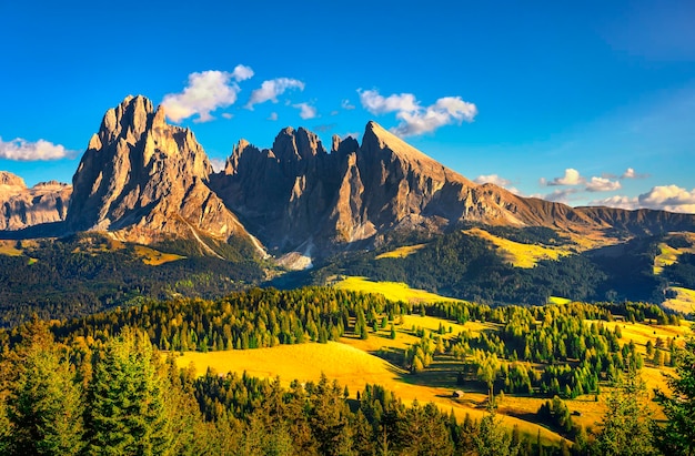 Alpe di Siusi ou Seiser Alm e montanha Sassolungo Dolomitas Alpes Itália