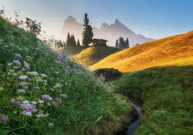 Alpe di Siusi prados al amanecer con montañas en el fondo