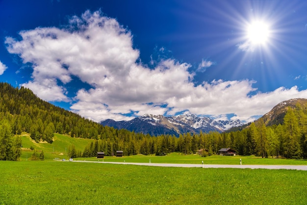 Alpen Berge mit Arvenwald bedeckt Davos Graubünden Sw