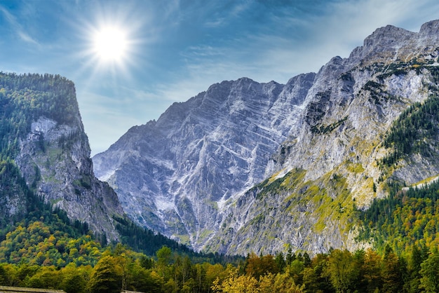 Alpen Berge mit Wald bedeckt Königssee Königssee Nationalpark Berchtesgaden Bayern Deutschland